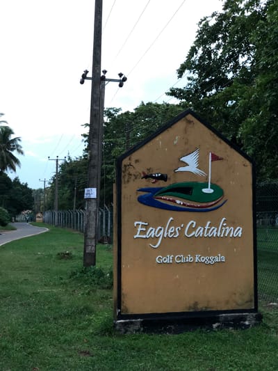 This is a photograph of a directional sign for "Eagles Catalina Golf Club Koggala". The sign is shaped like an arrow pointing to the right and is made of a weathered, tan-colored material with raised white lettering. It features an emblem of a golf course with a flag, a green, and a stylized bird.
The sign is located outdoors in a grassy area with trees and a fence in the background. A concrete utility pole with electrical wires and insulators stands prominently in the foreground, partially obscuring the sign. A small white paper is attached to the utility pole with some text in a foreign language. The overall scene suggests a daytime setting, likely overcast or with diffused light, given the lack of harsh shadows. The environment appears to be a tropical or sub-tropical region, as indicated by the lush greenery and palm fronds visible on the left side of the image. The image is taken from a slightly low angle, looking upwards towards the sign and the sky. The photograph is rotated 90 degrees counter-clockwise.