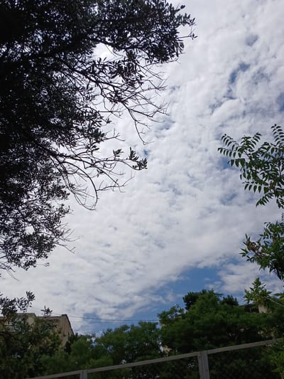 This image depicts a view of the sky from a low angle, looking upwards through trees and foliage. The sky is partly cloudy with white, puffy clouds scattered across patches of blue sky. In the foreground and upper left, the dark silhouettes of tree branches and leaves are visible, with some branches appearing bare. To the right, more green leaves from a tree are seen. Below the sky, a building with a light-colored facade and a sloped roof is partially obscured by dense green trees. A chain-link fence runs horizontally across the bottom of the image. The scene suggests an outdoor environment, likely within a residential or park area in the city of Sabail Raion, Azerbaijan, given the context of the provided location. There are no people or animals visible in the image, and no specific actions are taking place. The overall impression is of a natural setting juxtaposed with man-made structures under a cloudy sky.