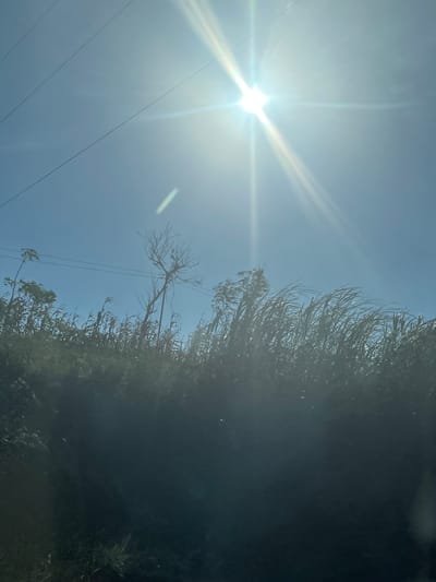 The image shows a bright sun in a clear blue sky, with power lines running horizontally across the frame. Below the sky, there is a silhouette of vegetation, including trees and tall grasses. The sun's glare creates lens flare, obscuring some details of the foreground. The scene is likely outdoors in a rural or suburban area, given the presence of power lines and natural vegetation. There are no people or discernible actions taking place. The dark silhouette suggests the photograph was taken from a low angle or with the sun positioned in front of the camera. The environment appears to be a landscape with vegetation and infrastructure. The location is identified as Grengseng, Indonesia.