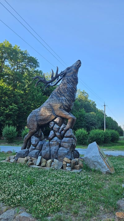 The image shows a large wooden sculpture of a stag with impressive antlers, positioned on a rocky base. The stag is depicted in a rearing stance, with its head thrown back and mouth open, as if in a bellow or call. The sculpture is detailed, with visible wood grain and carving marks, giving it a textured appearance. The rocky base is made up of various irregularly shaped stones, some appearing natural and others carved to mimic rocks. The sculpture is situated outdoors, surrounded by lush green grass and clover in the foreground. In the background, there are dense trees, bushes, and a clear blue sky with power lines visible. To the right of the sculpture, a large, angular grey rock stands upright, with what appear to be two small wooden plaques attached to its side. The overall scene suggests a public space or park, possibly a landmark or decorative installation. The text on the plaque and context from the location indicate this is the Stag Monument in Lomachyntsi, Ukraine.