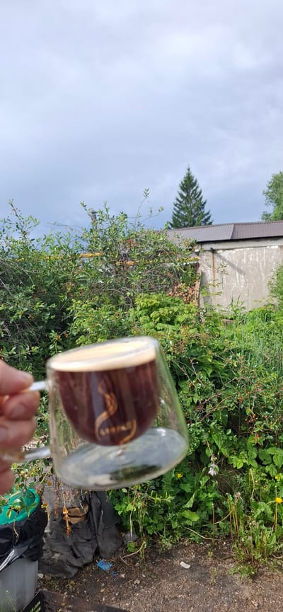A hand holds a glass mug containing dark liquid with a foamy top, tilted to the right. The mug has a distinct double-walled design, and a golden logo is visible on its interior surface. The mug is positioned in the foreground, with a blurred background of dense green foliage, including bushes with small red berries and yellow flowers. Behind the foliage, a concrete building with a dark, sloped roof is visible, and a tall, dark green evergreen tree stands behind the building. The sky above is overcast with pale gray clouds. The ground in the foreground is a mixture of dirt and gravel, with some black plastic sheeting and a green plastic container partially visible. The overall scene suggests an outdoor setting, possibly a backyard or a less-maintained area, in the city of Verkhneural'sk, Russia.