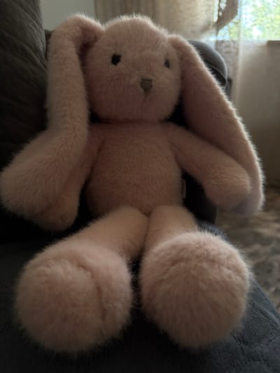 A plush pink bunny toy is seated on a dark gray sofa. The bunny has long, floppy ears, small black eyes, and a pink stitched nose and mouth. Its legs are extended forward, and its arms are resting at its sides. The background is blurred, showing a window with sheer curtains and greenery outside, suggesting an indoor domestic setting. The location is an unspecified area within Lernamerdz, Armenia.