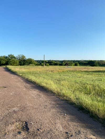 The image depicts a rural landscape under a clear blue sky. In the foreground, a dirt road curves to the left, showing tire tracks and scattered stones. To the right of the road is a field of tall, green grass with some patches of yellowing vegetation. In the middle ground, a tall, thin wooden pole stands vertically in the field. Further in the distance, a line of trees forms a dark green border against the horizon. There are no people or animals visible in the image. The overall scene suggests a natural, undeveloped area.
