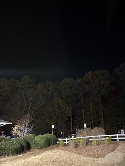 A night scene with dark sky above trees and a white picket fence. To the right, a grassy lawn and manicured shrubs run alongside the fence. The trees transition from dense green foliage to bare branches, with some visible trunks. A car is parked behind the fence in the center. Street lights illuminate the area.