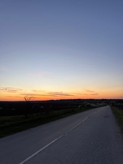 The image depicts a road in what appears to be the city of Bohot, Bulgaria at sunset. The sky transitions from blue on the left to orange hues towards the horizon. A road runs along the right side of the image, with a white dividing line. Vegetation, mostly dark, lines the road. A bare tree branch is visible in the lower center.