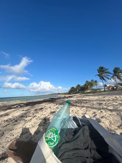 The scene depicts a sandy beach in Le Moule, France, viewed from a low perspective. In the foreground, an open, light-colored canvas bag contains a translucent plastic bottle with a green cap and a "Capes Dole" label, displaying condensation on its surface. Dark fabric is visible inside the bag next to the bottle. A brown sandal with the faint inscription "CTWK" is partially visible to the left of the bag. The beach comprises light-colored sand, with significant deposits of dark brown seaweed along the waterline. The ocean, appearing in shades of light blue and green, extends towards the horizon, marked by several buoys. Small waves are present near the shore. Multiple indistinct human figures are visible wading or standing in the water in the mid-distance. Along the coastline, a row of palm trees is visible, their fronds angled by wind. Beyond the trees on the right, a paved area contains parked vehicles and a small building. The upper portion of the image is dominated by a clear blue sky with scattered white cumulus clouds.