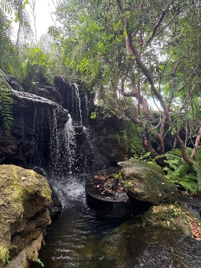 The image shows a small, multi-tiered waterfall cascading over dark rocks surrounded by lush green vegetation. Large ferns and trees with gnarled branches frame the scene. The water flows into a dark pool at the base, with moss-covered rocks and fallen leaves visible along the edges. A circular stone structure is partially submerged in the water to the right of the waterfall. The overall impression is of a naturalistic water feature within a garden setting, possibly in the city of Ban Na Chom Thian, Thailand. There are no people or animals visible in the image.