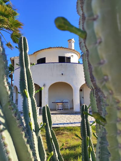 The image depicts a sunlit scene in Els Poblets, Spain, with a white, circular building featuring arched entrances and a tiled roof prominently in the background. The foreground is dominated by several large, green cacti, some of which have visible buds. A palm tree is visible to the left of the building. Inside one of the arches, a small table with two chairs is set up. The sky is a clear, bright blue. The overall impression is of a Mediterranean setting.
