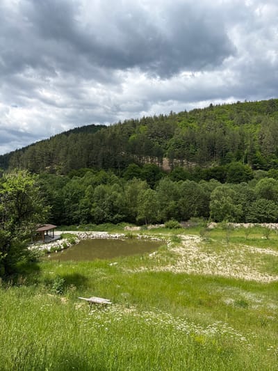 The image presents a landscape, likely in a rural area near Grashevo, Bulgaria. The setting includes a dense forest on the left side, a small body of water reflecting the surroundings, and a meadow on the right. The sky is overcast with heavy clouds.

A small structure, potentially a shed or gazebo, is visible near the water's edge. A wooden bench sits in the meadow. The meadow appears to transition to a drier, possibly cultivated area with lighter-colored vegetation.

There are no people visible.