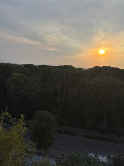 This is an aerial view of a tree-filled landscape at sunset in Kolomyia, Ukraine. The sky is a mix of pale grey and soft orange, with the sun a bright, glowing orb near the horizon. A dense forest of dark green trees dominates the midground and foreground, with some bare tree branches visible among the foliage. A road runs along the bottom edge of the tree line. In the distance, rolling hills fade into a hazy horizon. The overall impression is one of natural beauty bathed in the warm light of dusk.