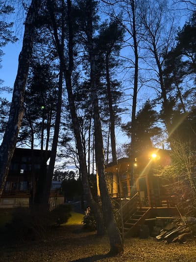 At dusk in Baltezers, Latvia, a view looking up through tall, bare trees reveals a wooden structure illuminated by a bright yellow light. The trees, silhouetted against a blue sky, are interspersed with branches and twigs. The wooden structure has a set of stairs leading to a deck or platform. The surrounding area appears to be a yard, with scattered debris or piles of materials beside the structure. The light source is likely attached to the building. The photograph's orientation is sideways.