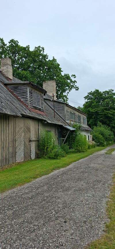 An outdoor, eye-level, vertical shot shows an old, weathered wooden building adjacent to a gravel road on an overcast day. The building is in disrepair, with a corrugated metal roof and wooden siding. One section of the building has large wooden doors, and another has boarded-up windows. Overgrown green vegetation grows around the base of the building. Large green trees form a backdrop to the structure, and the sky is a hazy gray. The scene appears to be in a rural area, possibly in Kohatu, Estonia.