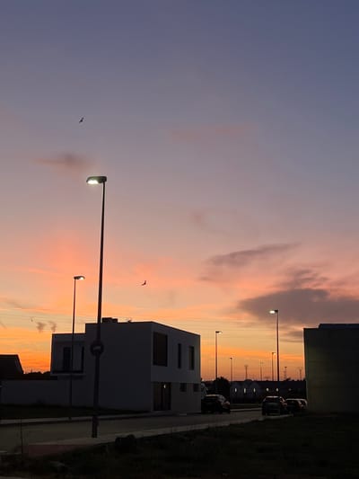 This image depicts a residential or semi-industrial area in the city of Alcàsser, Spain, at sunset. The sky transitions from deep indigo and purple at the zenith to vivid orange and pink hues above the horizon, with scattered, elongated clouds and a faint plume of smoke or steam on the left. Two birds are visible in silhouette against the colorful sky.

In the foreground, a dark, unkempt strip of ground occupies the lower right, contrasting with a paved road that curves slightly to the right, beginning on the left side. The midground features multiple modern, cubic-style buildings, largely cast in deep shadow and appearing as dark silhouettes against the bright sky, with dark windows. A prominent, tall streetlight with a bright white light illuminates the center-left, with a circular traffic sign (possibly 'no parking' or 'no stopping') affixed to its pole. A smaller, illuminated streetlight stands further down the road to its left. On the right, another illuminated streetlight rises, and several parked cars are visible as dark shapes on the street. Overhead, multiple power lines traverse the scene horizontally.

The background reveals a sequence of smaller structures or houses with some illuminated windows, continuing along the street into the distance. Numerous distinct lattice-work power line towers are silhouetted against the bright horizon, extending far into the background. A dark band of trees or vegetation forms the distant horizon line. No people are visible in the scene.