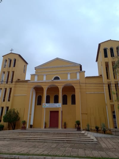 A low-angle, eye-level photograph captures the exterior of a grand, yellow-painted church building, identified as the Parish Cathedral of the Diocese of the Most Holy Conception in Concepción, Paraguay. The architectural style features a prominent central facade with white classical elements, including a pediment and columns, flanked by two tall, square bell towers. The tower on the left is topped with a cross, while the right tower is without a visible cross. Both towers have multiple arched openings.

A series of wide, light-colored stone steps leads up to the main entrance, which consists of three large arched doorways. A dark red double door is visible within the central archway. Below these arches, a colorful banner is prominently displayed. Potted plants and a small tree adorn the area around the entrance. Several dark utility wires traverse horizontally across the middle ground, in front of the church. The foreground shows a mix of paved ground and grass.

The visible text on the banner reads: "Diócesis de la Santísima Concepción," "Parroquia Catedral," ""El Bien Común" Año 2026," and "DENLES USTEDES MISMOS DE COMER" (Give them yourselves to eat). The sky is overcast and light grey, suggesting a cloudy day, rather than bright sunshine. No people or specific activities are depicted, giving the scene a quiet and contemplative atmosphere.