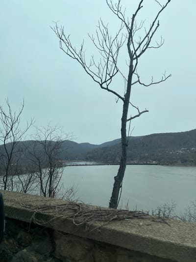 The image displays a wide, elevated view of a river valley on an overcast day, located within the Town of Cortlandt, United States of America. In the foreground, a gray concrete coping from a stone wall is visible, with tangled, bare vines lying across its surface. A dark, indistinct object partially frames the bottom left. Multiple leafless deciduous trees with dark, slender branches are positioned between the viewer and the water. A tall, prominent leafless tree, featuring a slender dark trunk with a thin reddish strand wrapped around it, stands centrally. The river's surface is a uniform dull grayish-blue, exhibiting faint ripples. A long, dark, horizontal structure is faintly discernible in the mid-distance across the water. The far bank consists of rolling hills or mountains densely covered with bare trees, appearing muted gray and brown. A cluster of small buildings is visible on the distant hillside to the right. The sky is entirely overcast, presenting a uniform light gray-blue hue.