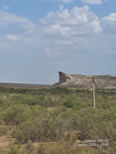 The image depicts a vast, arid landscape under a partly cloudy sky. The foreground is dominated by sparse, green shrubs and dry, brownish ground. In the midground, a large, weathered rock formation with distinct layered strata rises prominently. To the right of the rock formation, a solitary utility pole with wires is visible. The background features a hazy horizon with a flat, treeless plain. The bottom right corner of the image contains a timestamp and device model, "Galaxy A56 5G 21 июля 2026 г. 14:43," which translates to "July 21, 2026, 14:43." The text suggests the location is in Elabad, Uzbekistan, a city known for its desert environment and geological formations.
