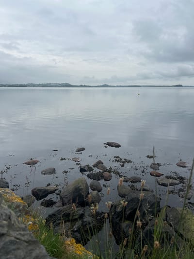This is a landscape photograph taken in Stavanger, Norway. The image shows a body of water with a rocky shoreline on the left. The water is calm, with gentle ripples and a few submerged rocks visible near the shore. The shoreline is covered with dark rocks, some with patches of yellow lichen, and a few blades of grass and dry vegetation.
In the distance, across the water, a faint outline of land with some buildings can be seen. The sky is overcast with heavy gray clouds, suggesting a cloudy or potentially rainy day. The overall mood of the photograph is somber and quiet. A small yellow buoy is visible in the middle of the water, adding a point of interest to the expansive scene. The time of day is not clearly indicated, but the overcast sky suggests it could be any time of day with diffused light. The composition, with the rocky foreground and the vast expanse of water and sky, conveys a sense of natural beauty and isolation. There is no visible text in the image.