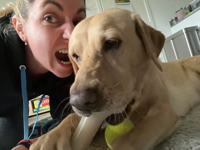 A photograph shows a tan Labrador Retriever dog chewing on a white bone-shaped toy and a tennis ball. A woman is positioned next to the dog, smiling with her mouth open. The dog is facing to the left, while the woman is facing downwards. A blue lanyard with a white attachment hangs from her black hoodie. In the background, there are board game boxes labeled "CATAN" and "SCRIBBLE." The location appears to be inside a home, potentially in the Borough of Runnymede, United Kingdom. The photo is angled sideways.