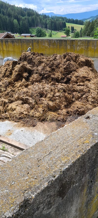 A heap of manure is piled in a fenced-in area in St. Magdalena - Santa Maddalena, Italy. The manure is a mix of straw and other organic material, and it appears to be fresh. In the background, there is a forest of pine trees and mountains. The sky is cloudy.