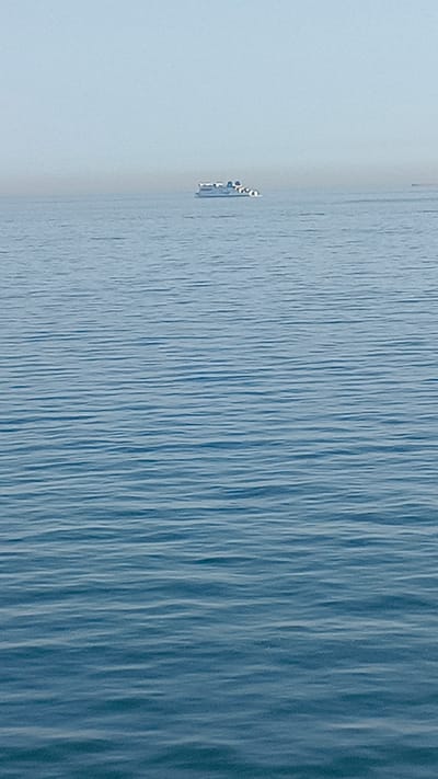 A ferry boat is on the ocean. The sky is hazy. The water is calm with gentle waves. The ferry boat is white with black and white checkered patterns on its sides. The ferry boat is in the distance. There are no people visible in the image. The location is unknown, France.