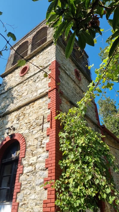 This image depicts a stone tower with red brick accents, likely located in Palaios Panteleimonas, Greece. The tower has arched openings covered with wire mesh at the top and smaller circular openings below. A dark-framed arched window with a lamp above it is visible on the lower left side. Lush green vines are growing up the side of the tower, partially obscuring some of its features. The sky is a clear, bright blue. The scene is captured from a low angle, looking upwards towards the tower. The surrounding environment appears to be natural, with trees and foliage visible in the background, and branches of leafy trees intrude into the frame from the top and right. There are no people visible in the image.