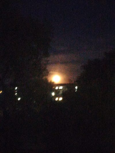 A dimly lit photograph captures a night scene with a bright moon or streetlight illuminating the sky. Silhouettes of trees frame the central light source. In the lower portion of the image, several illuminated windows of a building are visible, suggesting an urban or suburban environment. The overall impression is one of a quiet, possibly residential area at night. The image was taken in Luzino, Russia.