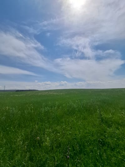 An expansive, lush green field stretches to the horizon under a bright, partly cloudy sky. The sky is a vibrant blue, with wispy white clouds scattered across it, and the sun is partially obscured by a large cloud formation in the upper right quadrant of the image. The field is densely covered with grass and some wildflowers, creating a rich, textured carpet of green. In the far distance, a line of trees forms a dark silhouette against the sky, and a single utility pole stands near the left edge of the frame. The overall impression is one of natural beauty and open space.