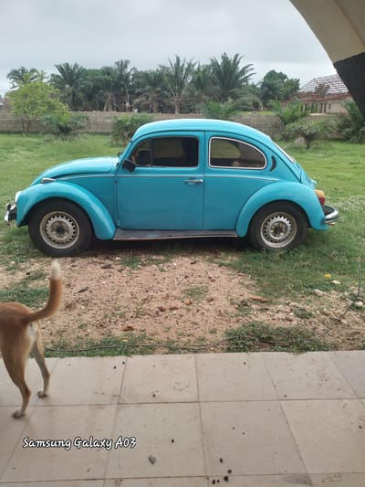An outdoor, eye-level, medium shot shows a bright teal Volkswagen Beetle parked on dirt and grass in Doka-Tofa, Nigeria. The car is facing right, with its front end slightly angled towards the viewer. The car's windows are tinted, and the driver's side window is partially open, revealing the silhouette of a person inside. The car has chrome trim along its side and the distinctive curved fenders of a classic Beetle.
The car is parked on a patch of ground that transitions from dirt and small stones to green grass. Behind the car, a low brick wall runs horizontally across the frame, with lush green palm trees and other vegetation visible beyond it. In the distance, a building with a red-tiled roof and unfinished construction is partially visible.
In the foreground, the hindquarters and tail of a light brown dog are visible, facing left and away from the car. The dog appears to be standing on a paved area made of square tiles, which extends across the bottom of the frame. The sky above is overcast and grey. A watermark at the bottom left corner reads "Samsung Galaxy A03".