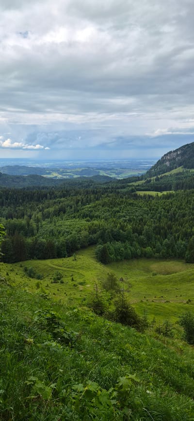 This forensic description details a panoramic landscape photograph taken in Erl, Austria. The scene captures an expansive view from an elevated position, looking across a valley under a heavily clouded sky.
The sky occupies the upper portion of the image, dominated by an overcast layer of grey and white clouds, with some brighter patches indicating denser cloud cover. Towards the distant horizon, the sky transitions to a lighter blue-grey, suggesting atmospheric haze or distant precipitation. A minute, dark, undefined speck is observable in the upper central sky.
The distant horizon reveals an undulating landscape of rolling hills and plains, dotted with small towns and agricultural fields that appear muted due to atmospheric perspective. A faint body of water, possibly a lake, is discernible on the right side of the distant view.
The mid-ground is characterized by vast stretches of dense forest, primarily composed of coniferous trees with darker green foliage, interspersed with lighter green deciduous trees. These forests cover numerous hills and valleys within the landscape. On the right side of the mid-ground, a prominent, steep mountain slope rises, heavily forested but featuring visible grey rock faces. Adjacent to and within the forested areas are bright green, open meadows or cultivated fields. One such field in the mid-foreground displays a winding, narrow dirt path or trail.
The immediate foreground is covered in dense, lush green vegetation, including tall grasses, broad-leafed plants, and smaller herbaceous flora, indicative of a rich, untamed growth on a hillside. Small, young evergreen trees are visible among the foreground vegetation. No discernible people, animals, or specific actions are depicted within the frame, though the presence of paths and cultivated fields suggests human presence and activity in the broader area. The overall lighting is soft and diffused, consistent with an overcast day, creating a muted and serene environmental atmosphere.