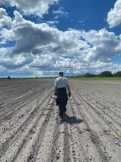 An adult male stands in a tilled field under a blue and cloudy sky. The field appears to be planted with small crops in rows. A treeline is visible on the horizon. The man's shadow stretches across the field. The scene depicts agricultural activity near Matyashivka, Ukraine.