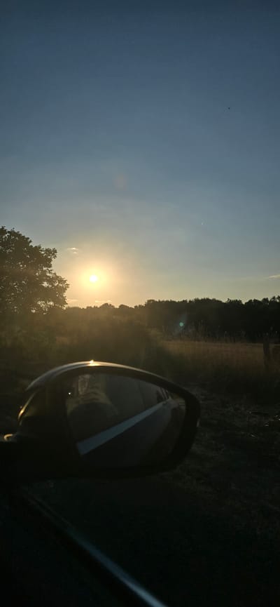 The image captures a sunset scene from within a vehicle, looking towards the right side mirror and the landscape beyond. The sun, a bright orb, is low in the sky, casting a warm glow and creating lens flares. The sky is a gradient of blue and pale yellow. Silhouetted against the sky is a dense line of trees. In the foreground, a portion of the car's interior is visible, including the driver's side mirror which reflects the sunset and a person within the car. The car is on an unpaved road, with dry grass and vegetation visible on the side. The setting appears rural. The location is identified as Novo Panicharevo, Bulgaria.