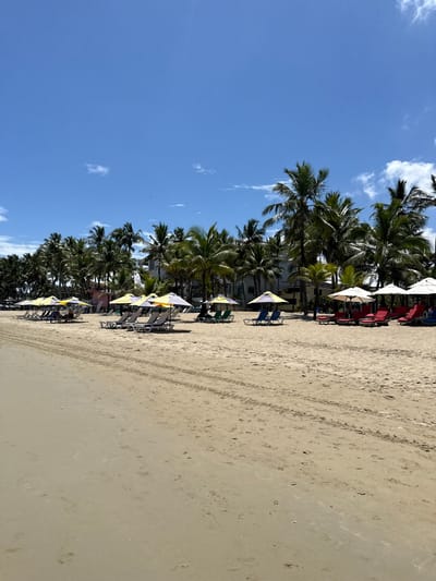 The image shows a beach in Cabarete, Dominican Republic. The beach consists of sand, palm trees, umbrellas, and lounge chairs, with the clear blue sky overhead. The orientation of the image suggests it was taken with a phone or other mobile device.