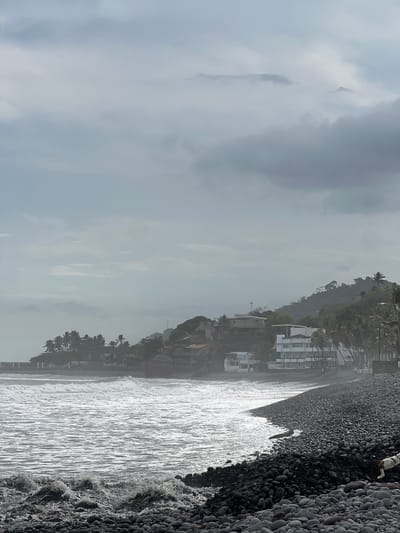 The image depicts a pebbled beach in El Tunco, El Salvador, under an overcast sky. The ocean is active with moderate waves crashing onto the shore. In the foreground, a large collection of dark, smooth pebbles covers the beach. Further back, buildings with white facades and thatched roofs are nestled into a lush, green hillside dotted with palm trees. A thin antenna is visible on the higher slope. In the lower right corner, a white dog with brown markings is partially visible, facing away from the camera and towards the beach.