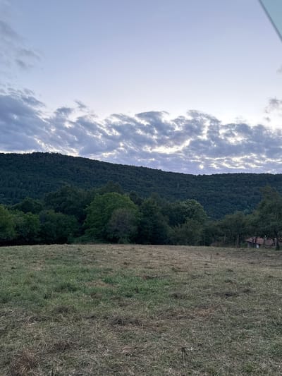 A wide-angle, low-angle shot captures a rural landscape at dusk. In the foreground, a dry, grassy field stretches out, with patches of greener grass interspersed. In the mid-ground, a dense forest of dark green trees forms a thick line, leading up to a larger, tree-covered hill that dominates the background. The sky above is a pale, hazy blue, with scattered, wispy clouds illuminated by the setting sun. To the right of the frame, a small, rustic building with a red-tiled roof is partially visible amidst the trees, suggesting a remote dwelling or structure in the Bulgarian countryside near Manaselska Reka. No people or animals are visible in the image.