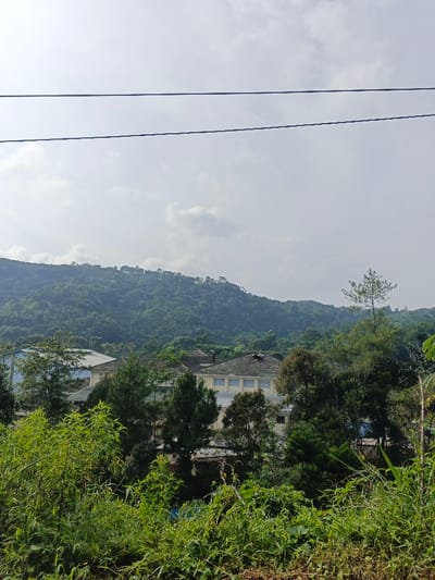 A view of several buildings nestled among lush greenery. Behind them rises a densely forested hill under a bright, overcast sky. Two parallel power lines stretch horizontally across the upper portion of the frame. Foreground vegetation is vibrant. The buildings feature a combination of roof styles, including what appears to be tiled sections. The entire scene conveys a sense of nature intertwined with human structures.
