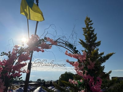 An outdoor scene on a sunny day in Berehove, Ukraine, features a decorative archway adorned with pink artificial flowers and thin branches. A Ukrainian flag flies in the background, with the sun's glare partially obscuring it. A transparent sign with Cyrillic script, reading "Найваронок," is affixed to the arch. Below the arch, numerous market stalls with blue and beige umbrellas are visible, suggesting a marketplace or outdoor event. A coniferous tree stands to the right of the arch. The sky is clear blue.