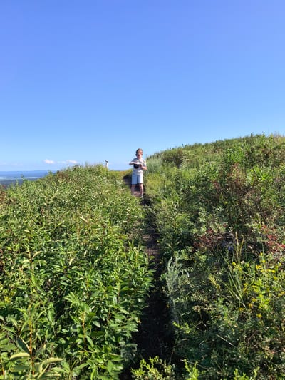 A young boy stands on a dirt path on a grassy, overgrown hill. He is wearing a t-shirt and shorts and is holding a dark-colored hat in his hands. The sky is clear and blue, and in the distance, there is a view of a landscape with rolling hills and a body of water. The vegetation is dense and green, with some areas of brown and red, suggesting a mix of plants and possibly some dry foliage. The scene appears to be a natural outdoor environment, possibly in the city of Shikhan, Russia, given the context.