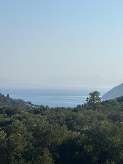 This is a landscape photograph taken from a high vantage point overlooking a body of water and a mountainous, vegetated terrain. The foreground is dominated by dense, dark green foliage, likely trees or bushes, which fill the bottom half of the frame. In the midground, a hillside slopes down towards the water, dotted with scattered trees and a few buildings. One prominent building with a reddish roof is visible on the hillside, appearing to be a house or villa.

Beyond the hillside lies a vast expanse of blue water, likely the sea, which stretches to the horizon. The water is calm and reflects the light of the sky. In the distance, hazy blue mountain ranges or islands are visible on the horizon, fading into the atmospheric perspective. The sky is a pale, clear blue, with a slight gradient towards white at the horizon, indicating it is likely midday or early afternoon with some atmospheric haze.

The location is described as the Municipal Unit of Sfakiates, Greece, which suggests a coastal or island setting typical of the Greek landscape. The scene evokes a sense of tranquility and natural beauty, with a blend of rugged natural terrain and human habitation. There are no people or animals clearly visible in the image. The image captures a serene view of the Mediterranean coast.