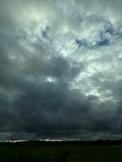 The image shows a sky filled with dramatic clouds ranging from light gray to dark gray, with a few patches of blue sky visible. On the right edge of the image, there is a strip of dark green vegetation, possibly trees and grass. The location is Совхозный, Russia, as inferred from the prompt's request. The scene depicts a landscape under a cloudy sky, likely indicating overcast weather. There are no people visible in the image.