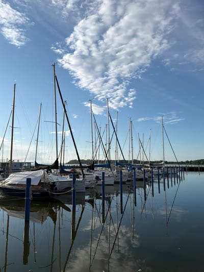 This is a photograph of a marina with numerous sailboats docked side-by-side. The boats are predominantly white with blue accents, and their masts extend high into the clear blue sky. White, wispy clouds are scattered across the sky. The water in the marina is dark and reflects the sky and the boats, creating a mirror-like effect. The sun is high in the sky, suggesting it is daytime, likely late morning or early afternoon. The scene is peaceful and tranquil, with a sense of calm. In the background, a green, tree-lined shore is visible. Some of the boats have their sails covered with white tarps. One boat in the foreground has the text "HST-BG 631" visible on its hull. The overall impression is one of a serene day at a German marina.