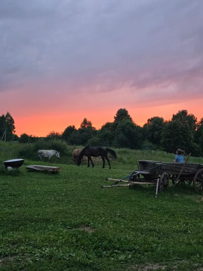 This image depicts a rural scene at sunset, likely in Никитское, Russia, given the provided context. The sky is a vibrant gradient of pink and orange, transitioning to a muted purple and grey near the top, with visible clouds. In the foreground, a lush green grassy field is dotted with small white flowers.

Several horses are present in the field. A light-colored horse stands to the left, and a darker horse grazes in the middle ground. Further to the right, a black horse is also grazing.

To the left of the frame, a large, dark, cauldron-like object is situated on the ground, beside a rough-hewn wooden bench. In the middle ground, there's a wooden cart with large spoked wheels, pulled by wooden shafts. A young person, wearing a blue garment, is seated within the cart.

The background consists of a dense line of green trees, forming a natural boundary against the colorful sky. The overall atmosphere suggests a peaceful, pastoral evening setting.