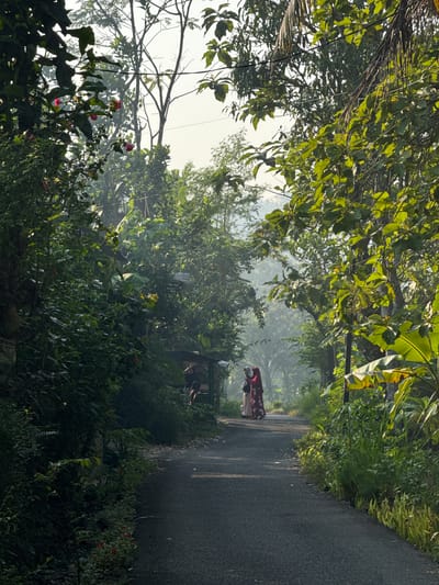 A paved road winds through a lush, green environment in Alian, Indonesia, with dense foliage lining both sides. Two individuals, both wearing hijabs, stand on the left side of the road, facing away from the camera. One person is wearing a red hijab and a patterned dress, while the other wears a lighter colored hijab and a white patterned dress. In the background, several structures with corrugated metal roofs are visible, partially obscured by the trees. The morning sun casts long shadows, and a light mist hangs in the air, suggesting a cool, humid atmosphere. The vegetation appears abundant and varied, with large leaves and smaller flowering plants. The scene evokes a sense of tranquility and everyday life in a tropical setting.