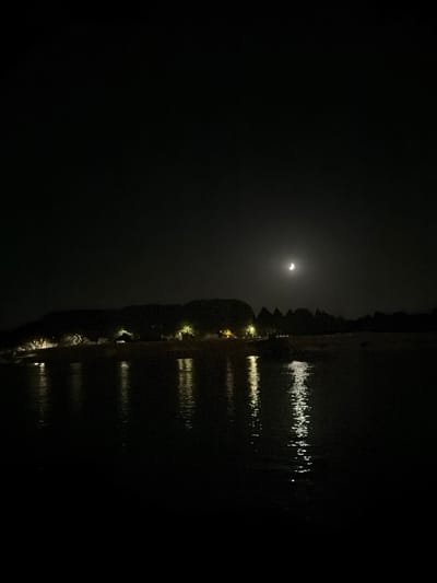 The image depicts a nighttime scene of a waterfront with a crescent moon in the sky. A dark silhouette of trees and buildings lines the distant shore, with some lights visible illuminating the area. The water in the foreground reflects these lights and the moon, creating shimmering patterns on its surface. The overall atmosphere is dark and serene, typical of a night view of a coastal or riverfront area. This scene is consistent with locations along the Rhône River or the coastline near Arles, France, where such nocturnal views with natural and artificial light sources are common. There are no people or discernible actions in the image.