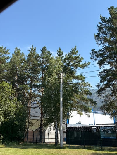 This is an outdoor, eye-level shot of a fenced-in industrial area in Turbaza Katun', Russia, under a clear blue sky. In the foreground, a manicured green lawn transitions to a dirt path and a dark green chain-link fence topped with barbed wire. Beyond the fence, a small, single-story building with a corrugated metal roof is visible, partially obscured by tall pine trees. To the right of this building, a larger, white industrial structure with blue trim stands. A concrete utility pole is present in the middle ground. The background features a dense forest leading up a hillside. The image appears to have been taken during daylight hours.