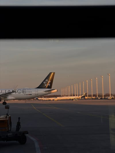 The image depicts an airport apron scene, likely at Munich Airport (MUC) near Freising, Germany, during golden hour lighting. In the midground, a white commercial aircraft, identified as an Airbus A320-200 with German registration D-AIZN, is prominently positioned. The aircraft displays "ALLIANCE" text on its fuselage and a dark gray tail fin featuring a white multi-star logo. Its right side and tail are illuminated by warm, low-angle sunlight.
The tarmac in the foreground is dark gray with yellow and white markings. A portion of a yellow and dark-colored ground tug or cart is visible in the lower-left corner. In the background, multiple other commercial aircraft, including smaller regional jets, are parked on the tarmac, also reflecting the warm light. A linear array of approximately fifteen to twenty tall, slender light poles stands behind the aircraft, uniformly illuminated by the sunlight. A thin band of bare trees is visible beyond the poles. The sky exhibits a gradient from light blue overhead to warm orange and pink hues near the horizon. The entire scene is viewed through what appears to be a vehicle windshield, indicated by a dark, out-of-focus horizontal band obscuring the top approximately 20% of the image. No individuals are visible.