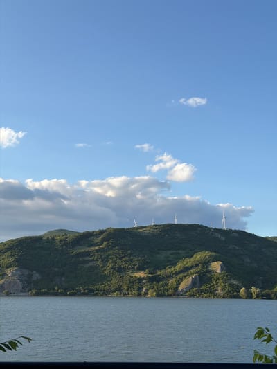 The image shows a wide shot of a body of water in front of a green, forested hillside. Several wind turbines are visible on the crest of the hill. The sky is blue with scattered white clouds. The water appears to be a lake or river, with a shoreline visible at the base of the hill. Some vegetation is present in the foreground, including leaves of a plant. The scene is tranquil and natural. The location is the Golubac Municipality in Serbia.