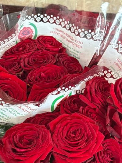 The image displays multiple bouquets of vibrant red roses, partially wrapped in clear plastic with decorative paper bands. Text is visible on the paper bands, suggesting they are from a floral business. Some of the text appears to be in Russian and includes what looks like a company name and possibly an address or contact information. The roses are densely packed and appear fresh. The lighting suggests an indoor setting, possibly a flower shop. One portion of the text on a paper band is partially legible and appears to contain location-specific information, possibly indicating the city of Oktyabr'skoe, Russia, based on the presence of the text "Октябрьский" or similar Cyrillic characters often associated with that city.