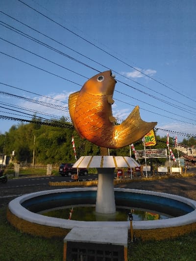 The image displays a large, golden fish sculpture centrally positioned within a circular fountain at a roadside roundabout or median strip in Cijedil, Indonesia. The sculpture, appearing to leap, features textured scales, an open mouth, and a distinct eye containing a white sphere. It is supported by a light grey pedestal rising from the center of the fountain basin, which holds water and has a light grey rim with yellow and earth-toned outer edges.
The immediate foreground consists of green grass. Beyond the fountain, an asphalt road is visible, with a dark red SUV situated on it and a motorcycle partially visible on the far left. The background is dominated by dense green trees and foliage, with several light-colored buildings partially discernible. Numerous red and white Indonesian flags are mounted on poles along the roadside, accompanied by various signs, including one with "IBC" and others featuring red text. Multiple dark power lines stretch horizontally across the upper portion of the frame, set against a clear blue sky with scattered white clouds. The scene is illuminated by natural light, suggesting either morning or late afternoon. No identifiable individuals are clearly depicted engaging in specific actions.