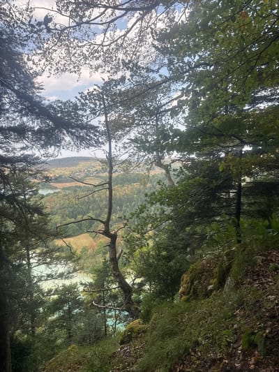 The image is a natural landscape view from a wooded area overlooking a valley in the vicinity of La Chaux-du-Dombief, France. The foreground is dominated by the dense foliage of trees, with branches and leaves framing the view. In the mid-ground, a serene body of water, possibly a lake or river, exhibits a turquoise hue. Beyond the water, rolling hills covered in a mix of deciduous and coniferous forests stretch towards the horizon. Patches of cultivated land, appearing as terraced fields, are visible on the slopes. A small village or cluster of houses can be seen nestled among the trees in the distance. The sky above is partly cloudy, with patches of blue sky interspersed with white clouds. The overall impression is one of a tranquil, natural environment.