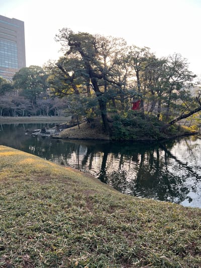 A tree with large branches extends over a body of water, its reflection visible. A red structure is seen among the tree's foliage. Dense green bushes are on the right side of the image, and a building can be seen in the lower left. Sunlight filters through the tree's branches, creating a hazy glow in the sky.